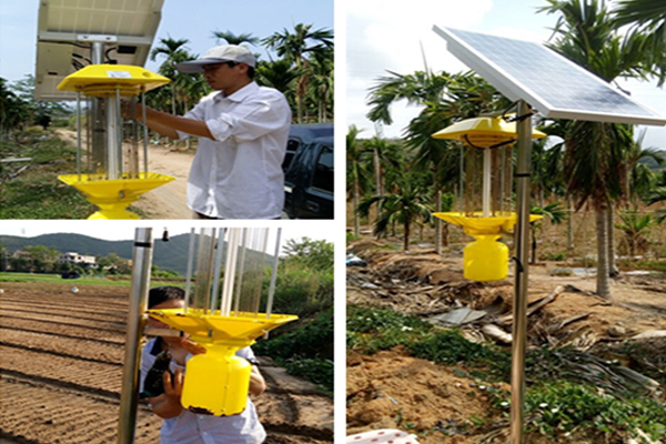 欧柯奇杀虫灯守护千亩高效热带水果产业园